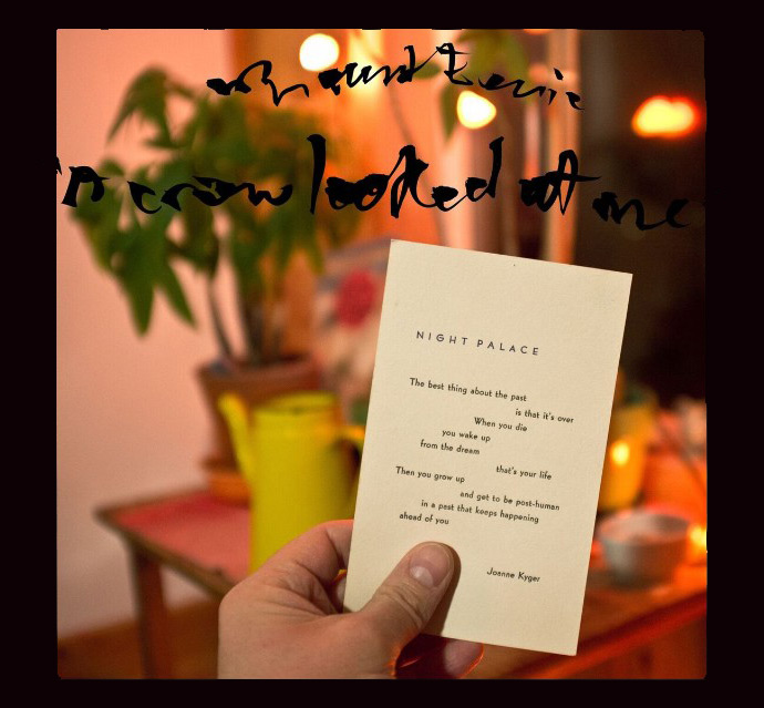 Mount Eerie ‒ «A Crow Looked at Me» 