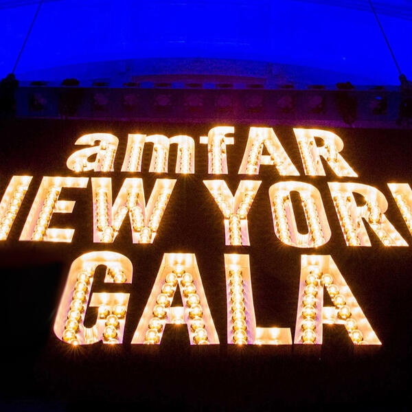 AMFAR Gala 2017: красная дорожка и гала-ужин состоятся 8 февраля