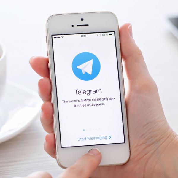 Telegram выпустил обновление с ночными темами и мультиаккаунтами