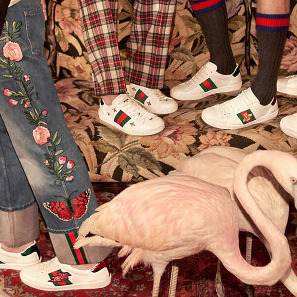 Классические кеды Gucci Ace стали главным символом новой кампании бренда